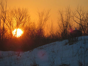 Winter Sunsets