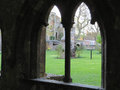 A View from the Cloister