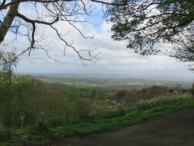 Another View From Shaftesbury