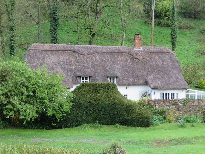 Lovely Thatch Roofs