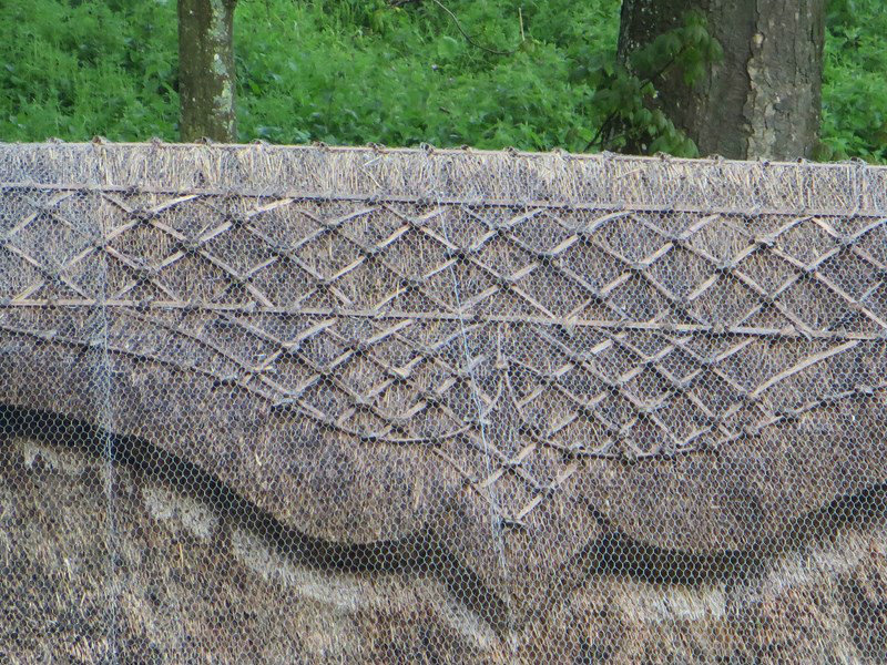 The Roof Detail on the Thatch