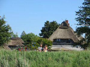 Thatched Grass Roofs Here In Germany