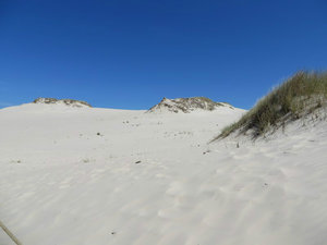 The Dunes Appear to Go On Forever