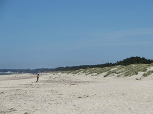 The White Sand Beach
