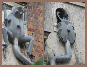 Animals seemed to be used quite often in the design of their downspouts