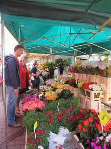 Loads of Flowers are the Market in Gdynia
