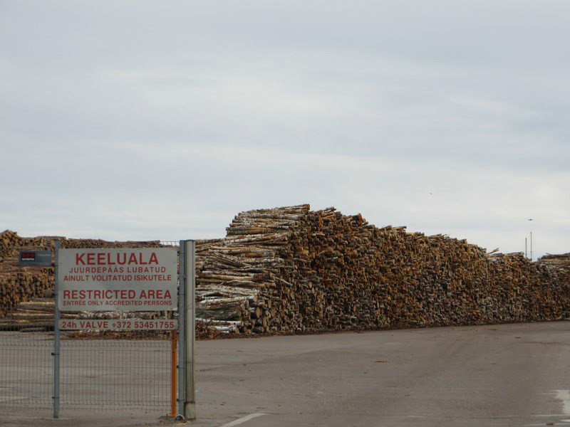 Estonia has lots of timber 