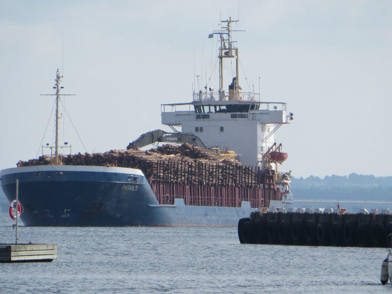 Lots of Logs Come Into this Port