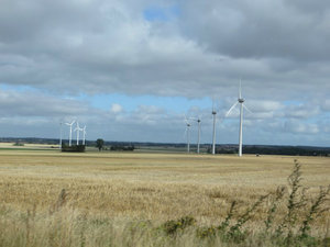 Numerous Wind Turbines