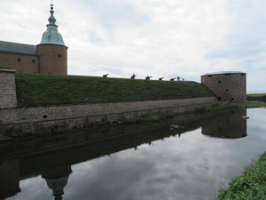Looking Across the Moat