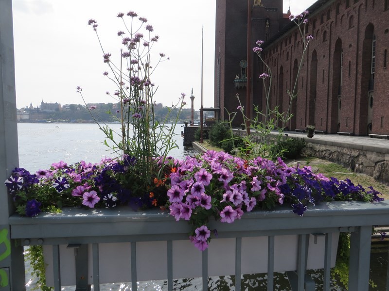 Flower Boxes Help Beautify Stockholm