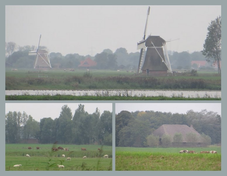 Windmills are numerous in this area
