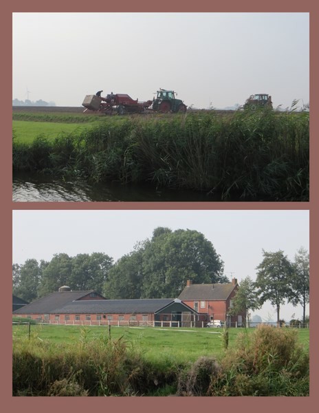 More Farmland to See Along The Route to Dokkum