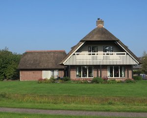 Some Homes Use Thatch for Their Roofs