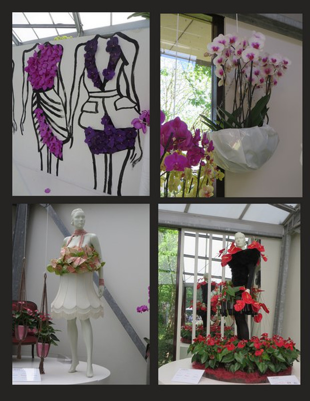 Orchids in Fashion on Display
