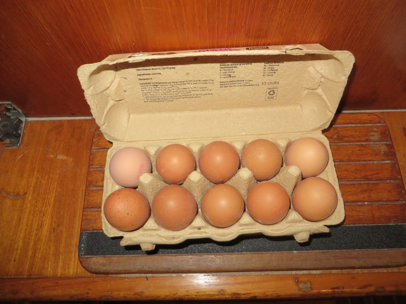 Notice Anything Different with Our "Dozen" Eggs?