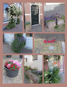 The Dutch Use Flowers at Their Entrances 