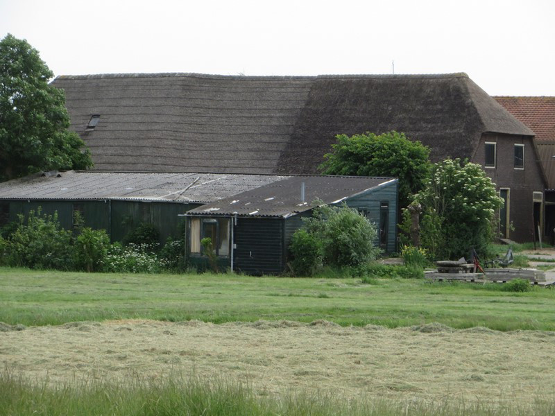 Thatched Roof on a Very Large Barn