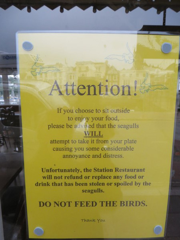 A Longer Explanation of Why Not to Feed the Birds!