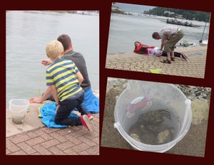 Tourists Try Their Hand at Crabbing on the Quay