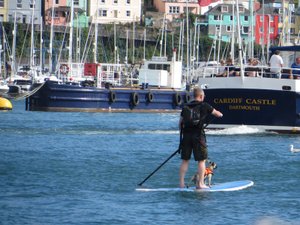 Paddle Boarders Ply the River Dart As Well