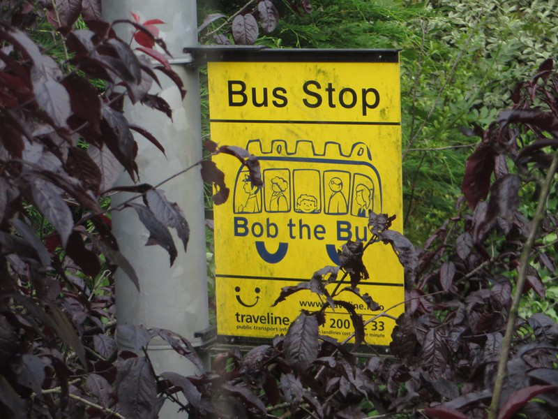 Bob Has A Bus Too!