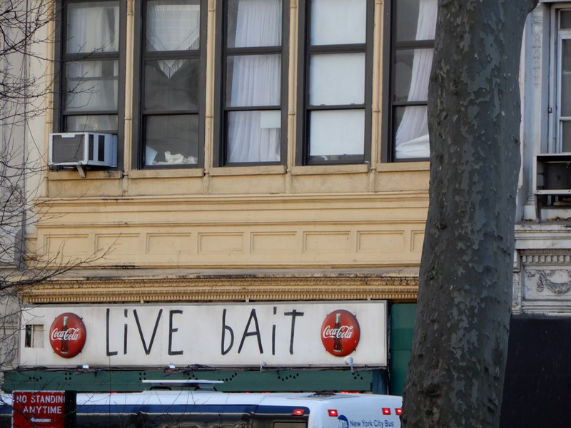 Who in the middle of NYC buys live bait??