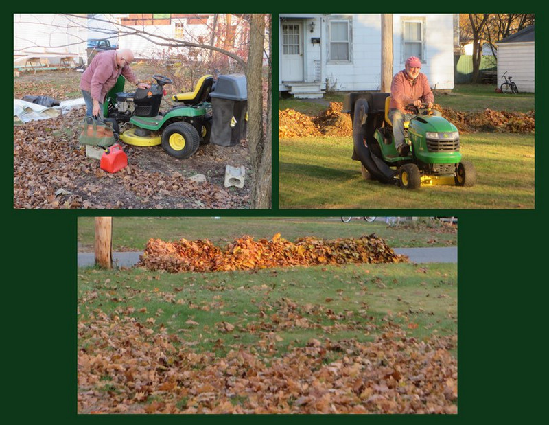 We came back in time to rake leaves