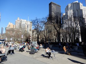 The Madison Square Park in NYC - Well Used
