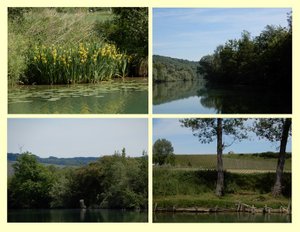 A Very Peaceful Section of the River Marne