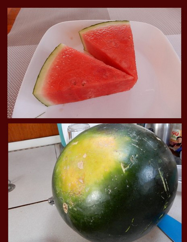 Our First Watermelon Here ! - What a Treat