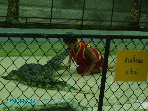 Kissing the Croc.