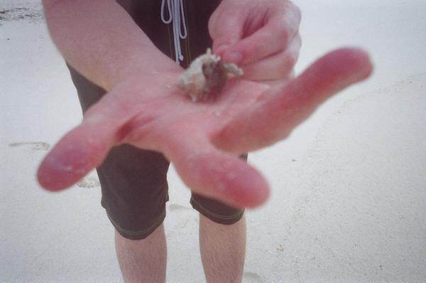 Hermet Crab on Bamboo Island.