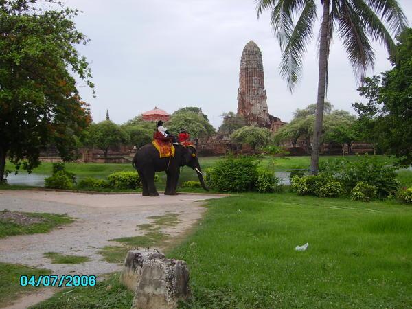 Elephant in park.