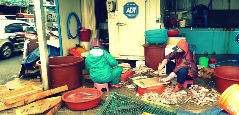 Mokpo Fish Market