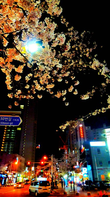 Busan at night