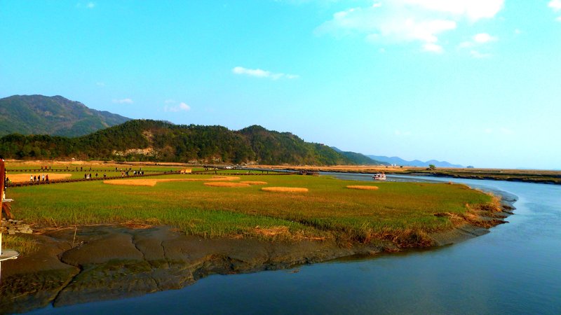 Suncheon Bay
