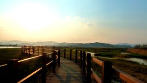 Suncheon Bay