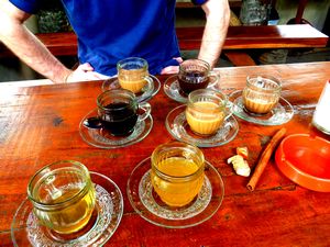 Sampling coffee at a plantation