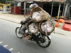 Tier- Transport auf vietnamesisch
