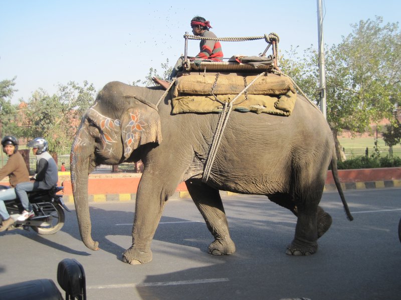 Verkehrsteilnehmer in Delhi