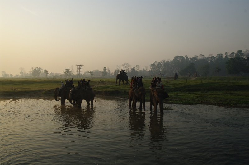 Elephanten Safari am frühen Morgen