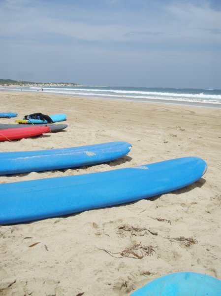Surfboards, Sun, Ocean, and Sand