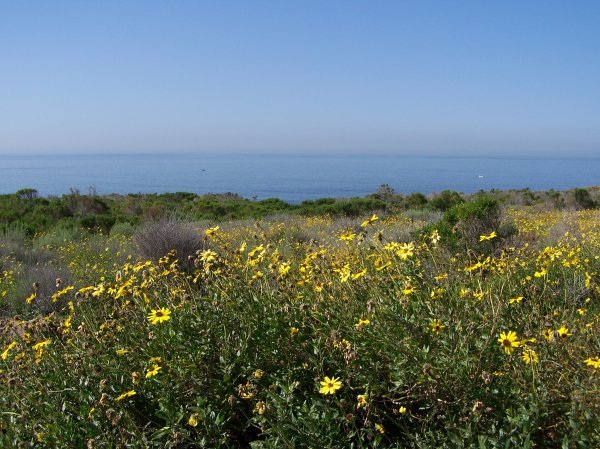 Crystal Cove State Park