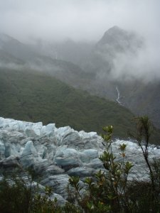 Glacier and Rainforest - 4