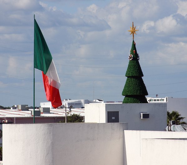 Christmas Tree and Mexican Flag