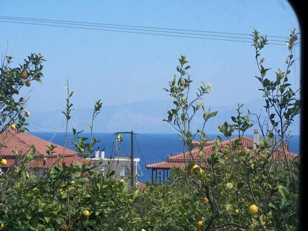 Greek Countryside - 2