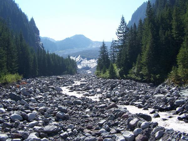 Carbon Glacier Trail - 5