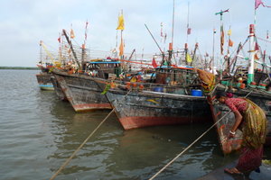 Fishing boats - Diu, Gujarat