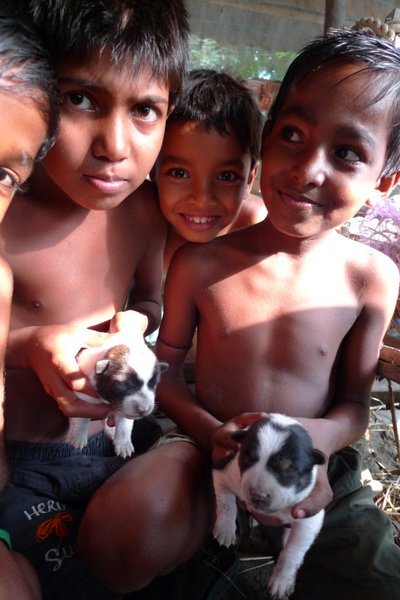 No otters yet but there IS puppies! - Hariat, Khulna
